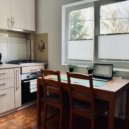 Modern With Reserved Parking Apartment *